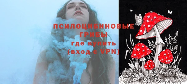 mdpv Балахна