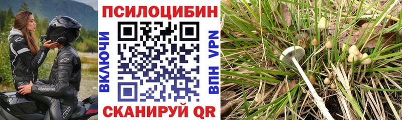 сайты даркнета состав  blacksprut ONION  Старая Русса  купить наркотики цена  Галлюциногенные грибы Psilocybine cubensis 
